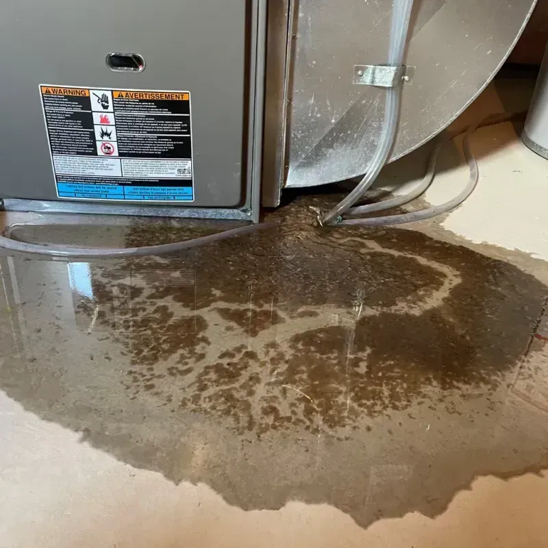 Appliance Leak Cleanup in James City, NC